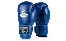 Boxerské rukavice DBX BUSHIDO ARB-407-Blue 12 oz