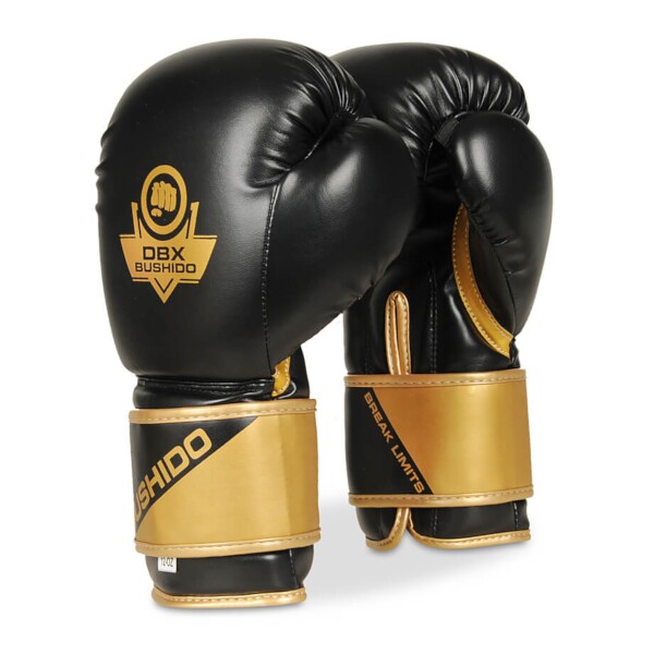 Boxerské rukavice DBX BUSHIDO B-2v10 12 oz Boxerské rukavice DBX BUSHIDO B-2v10 12 oz