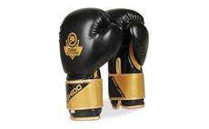 Boxerské rukavice DBX BUSHIDO B-2v10 12 oz