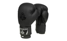 Boxerské rukavice DBX BUSHIDO B-2v12 8 oz