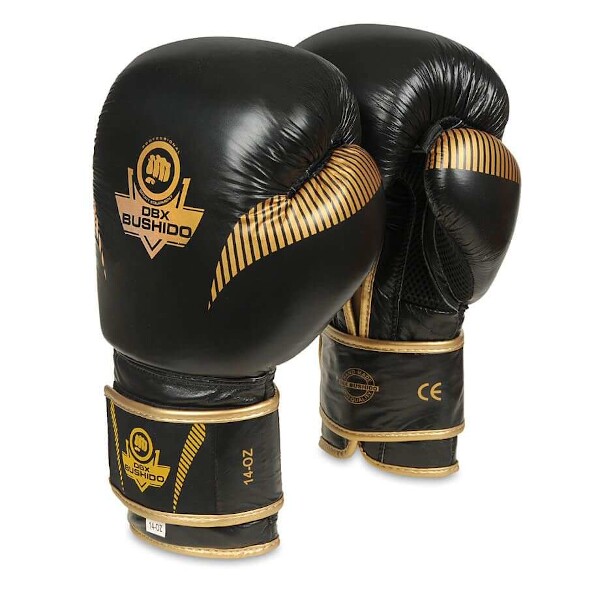 Boxerské rukavice DBX BUSHIDO B-2v13 12 oz Boxerské rukavice DBX BUSHIDO B-2v13 12 oz