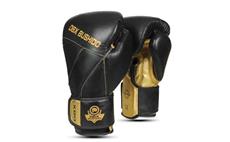 Boxerské rukavice DBX BUSHIDO B-2v14 10 oz