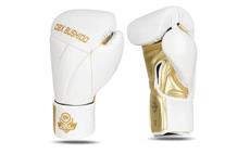 Boxerské rukavice DBX BUSHIDO B-2v19 10 oz