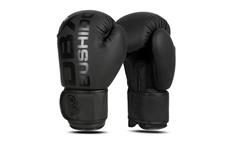 Boxerské rukavice DBX BUSHIDO B-2v21 12 oz