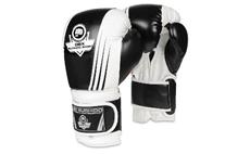 Boxerské rukavice DBX BUSHIDO B-2v3A 10 oz