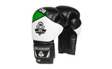 Boxerské rukavice DBX BUSHIDO B-2v6 12 oz