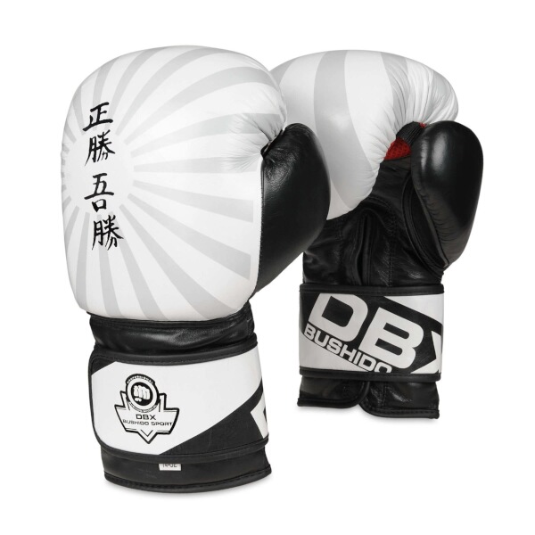 Boxerské rukavice DBX BUSHIDO B-2v8 10 oz Boxerské rukavice DBX BUSHIDO B-2v8 10 oz