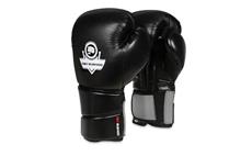 Boxerské rukavice DBX BUSHIDO B-2v9 12 oz