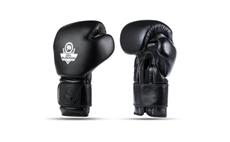 Boxerské rukavice DBX BUSHIDO B-ProFight 16 oz