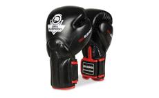 Boxerské rukavice DBX BUSHIDO BB2 14 oz