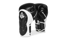 Boxerské rukavice DBX BUSHIDO BB5 10 oz