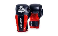 Boxerské rukavice DBX BUSHIDO DBX PRO 10 oz