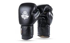 Boxerské rukavice DBX BUSHIDO Striker 16 oz