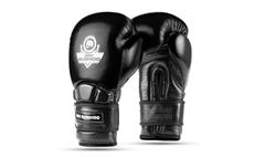 Boxerské rukavice DBX BUSHIDO Warrior BLACK 10 oz