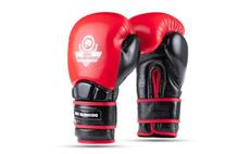 Boxerské rukavice DBX BUSHIDO Warrior RED 10 oz