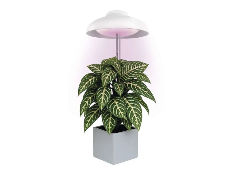 Pěstební lampa EMOS Z7901 LED GROW 5 W, časovač, bílá Pěstební lampa EMOS Z7901 LED GROW 5 W, časovač, bílá