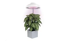 Pěstební lampa EMOS Z7901 LED GROW 5 W, časovač, bílá
